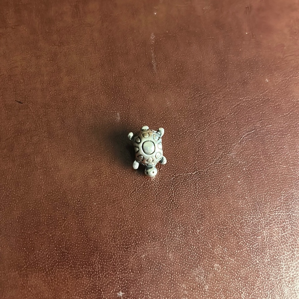 Turtle charm